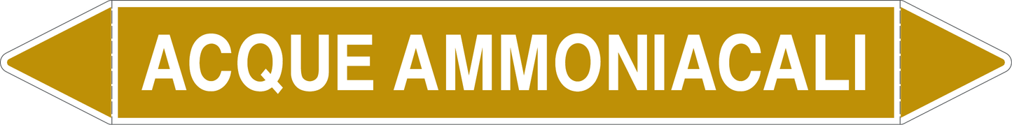 GLOBAL PACCO DA 10 ETICHETTE PER TUBAZIONI - ACQUE AMMONIACALI - Etichetta Autoadesiva Resistente