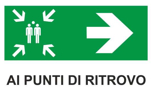 AI PUNTI DI RITROVO - CARTELLO SEGNALETICO ISO 7010 in Adesivo Resistente, Pannello in Forex, Pannello In Alluminio o in Plexiglas