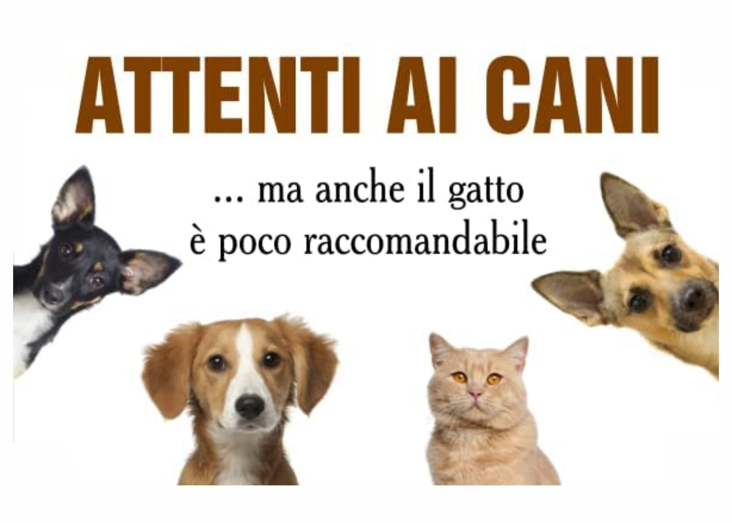 GLOBAL CARTELLO SEGNALETICO - ATTENTI AI CANI MA ANCHE IL GATTO è POCO RACCOMANDABILE - Adesivo Extra Resistente, Pannello in Forex, Pannello In Alluminio