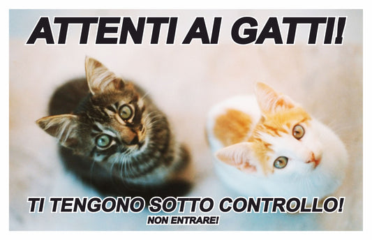 GLOBAL CARTELLO SEGNALETICO - ATTENTI AI GATTI TI TENGONO SOTTO CONTROLLO - Adesivo Extra Resistente, Pannello in Forex, Pannello In Alluminio
