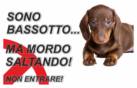 GLOBAL CARTELLO SEGNALETICO  - ATTENTI AL CANE BASSOTTO, MORDO SALTANDO - Adesivo Extra Resistente, Pannello in Forex, Pannello In Alluminio