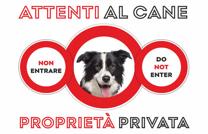 GLOBAL CARTELLO SEGNALETICO  -ATTENTI AL CANE BORDER COLLIE - Adesivo Extra Resistente, Pannello in Forex, Pannello In Alluminio