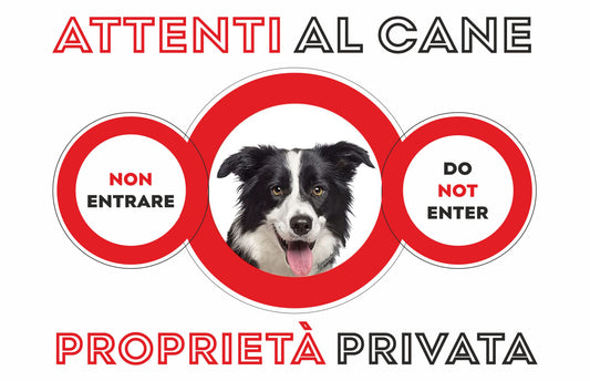 GLOBAL CARTELLO SEGNALETICO  -ATTENTI AL CANE BORDER COLLIE - Adesivo Extra Resistente, Pannello in Forex, Pannello In Alluminio