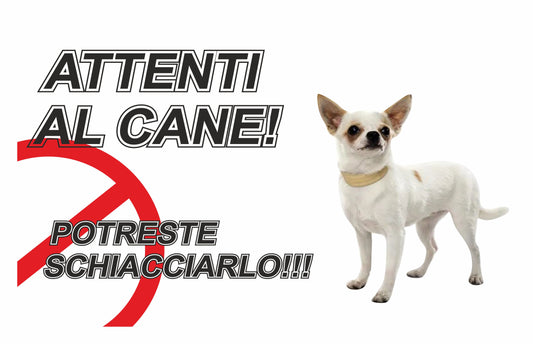 GLOBAL CARTELLO SEGNALETICO  - ATTENTI AL CANE CHIHUAHUA  - Adesivo Extra Resistente, Pannello in Forex, Pannello In Alluminio