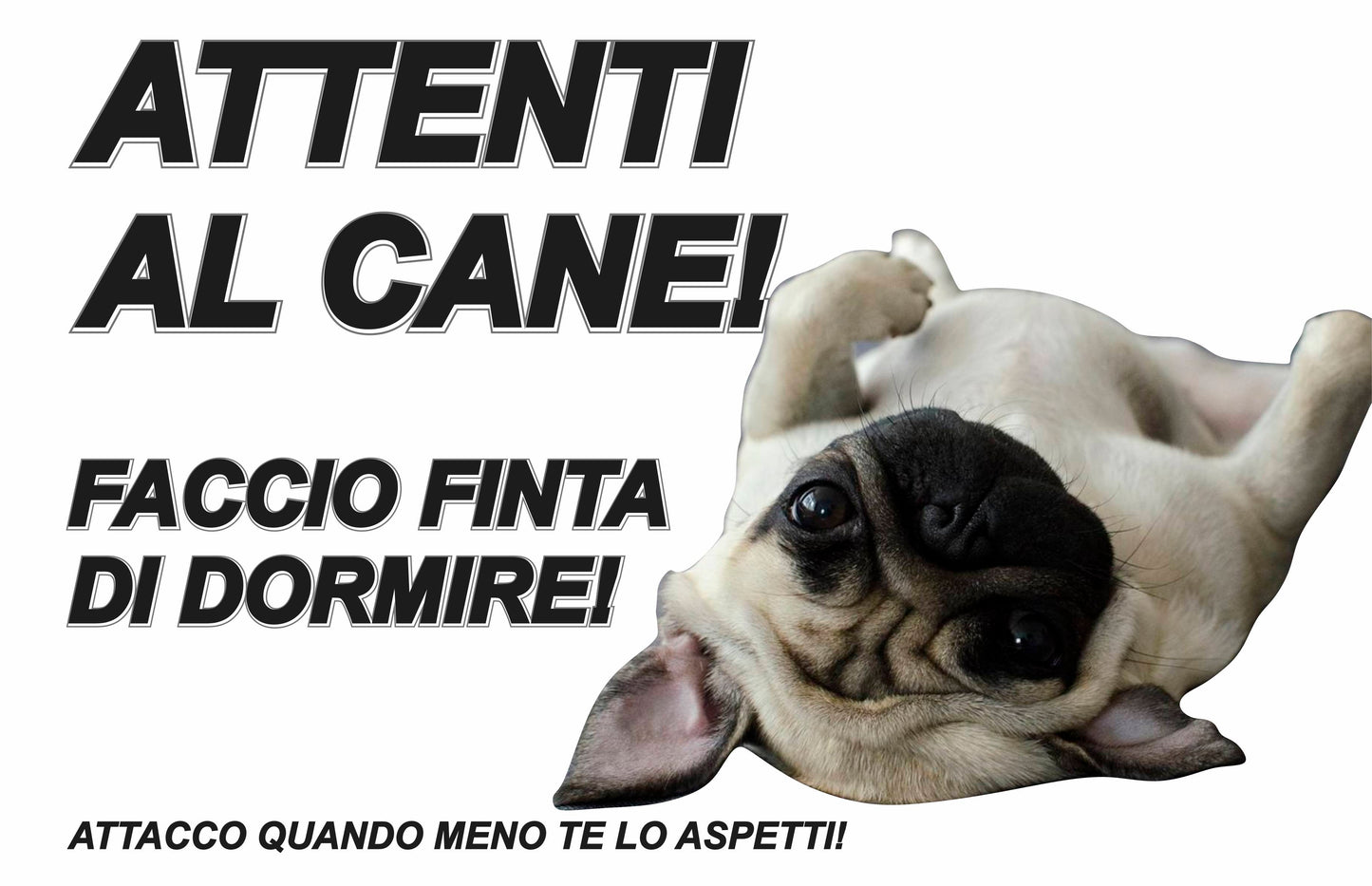 GLOBAL CARTELLO SEGNALETICO  - ATTENTI AL CANE FACCIO FINTA DI DORMIRE - Adesivo Extra Resistente, Pannello in Forex, Pannello In Alluminio