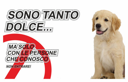 GLOBAL CARTELLO SEGNALETICO  - ATTENTI AL CANE GOLDEN RETRIEVER SONO TANTO DOLCE - Adesivo Extra Resistente, Pannello in Forex, Pannello In Alluminio