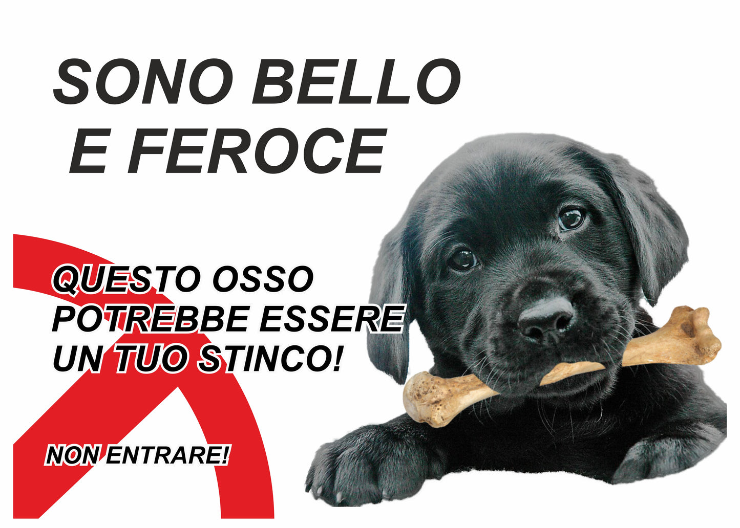 GLOBAL CARTELLO SEGNALETICO - ATTENTI AL CANE LABRADOR NERO, SONO BELLO E FEROCE - Adesivo Extra Resistente, Pannello in Forex, Pannello In Alluminio