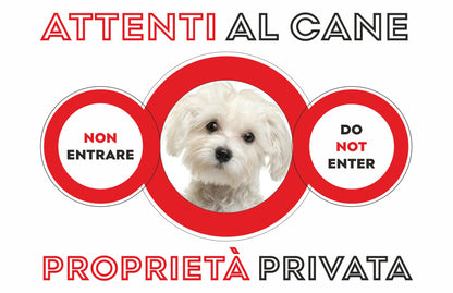 GLOBAL CARTELLO SEGNALETICO - ATTENTI AL CANE MALTESE - Adesivo Extra Resistente, Pannello in Forex, Pannello In Alluminio