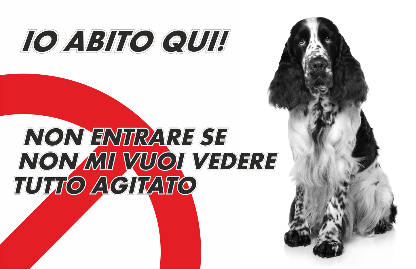 GLOBAL CARTELLO SEGNALETICO - ATTENTI AL CANER SPRINGER SPANIEL IO ABITO QUI - Adesivo Extra Resistente, Pannello in Forex, Pannello In Alluminio