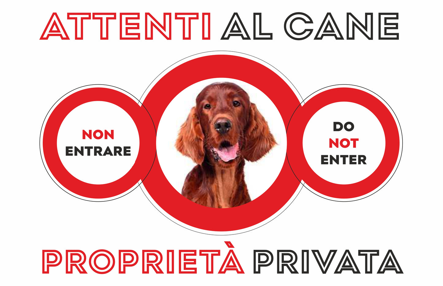 GLOBAL CARTELLO SEGNALETICO - ATTENTI AL CANE SETTER IRLANDESE PROPRIETÀ PRIVATA - Adesivo Extra Resistente, Pannello in Forex, Pannello In Alluminio