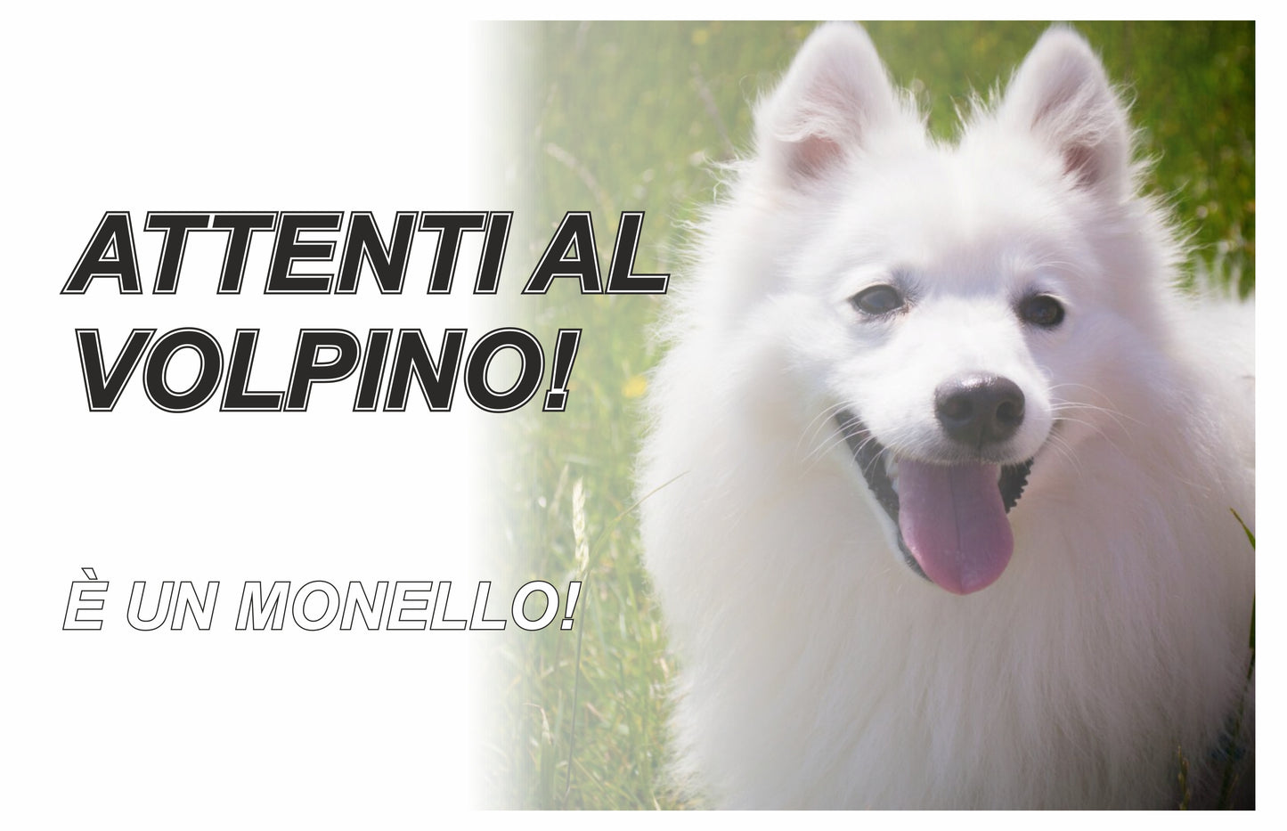 GLOBAL CARTELLO SEGNALETICO - ATTENTI AL CANE VOLPINO, È UN MONELLO - Adesivo Extra Resistente, Pannello in Forex, Pannello In Alluminio