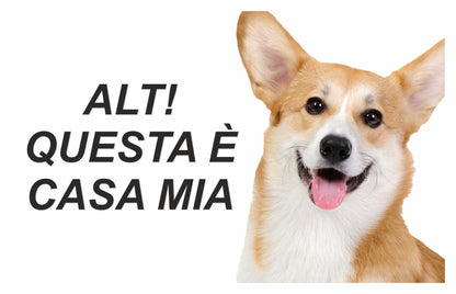 GLOBAL CARTELLO SEGNALETICO - ATTENTI AL CANE WELSH CORGI ALT - Adesivo Extra Resistente, Pannello in Forex, Pannello In Alluminio