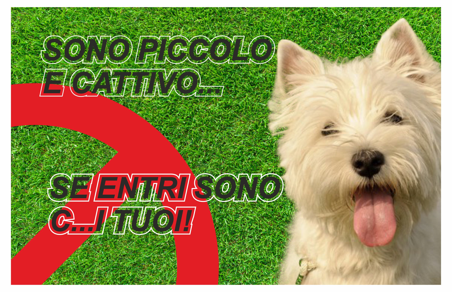 GLOBAL CARTELLO SEGNALETICO - ATTENTI AL CANE WEST HIGHLAND SONO PICCOLO E CATTIVO - Adesivo Extra Resistente, Pannello in Forex, Pannello In Alluminio