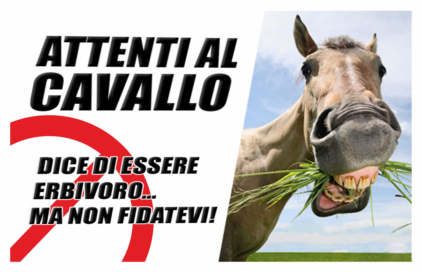 GLOBAL CARTELLO SEGNALETICO - ATTENTI AL CAVALLO - Adesivo Extra Resistente, Pannello in Forex, Pannello In Alluminio