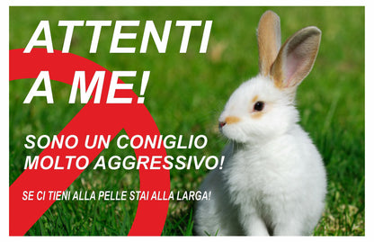 GLOBAL CARTELLO SEGNALETICO - ATTENTI AL CONIGLIO è MOLTO AGGRESSIVO - Adesivo Extra Resistente, Pannello in Forex, Pannello In Alluminio