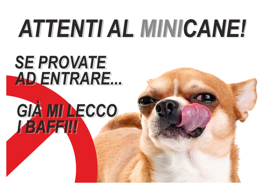 GLOBAL CARTELLO SEGNALETICO - ATTENTI L CANE CHIHUAHUA GIÀ MI LECCO I BAFFI  - Adesivo Extra Resistente, Pannello in Forex, Pannello In Alluminio