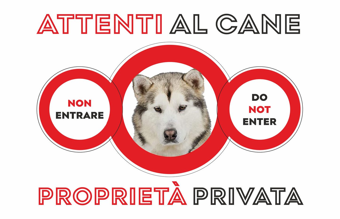 GLOBAL CARTELLO SEGNALETICO  - ATTENTI al Cane Alaskan Malamute PROPRIETÀ PRIVATA - Adesivo Extra Resistente, Pannello in Forex, Pannello In Alluminio