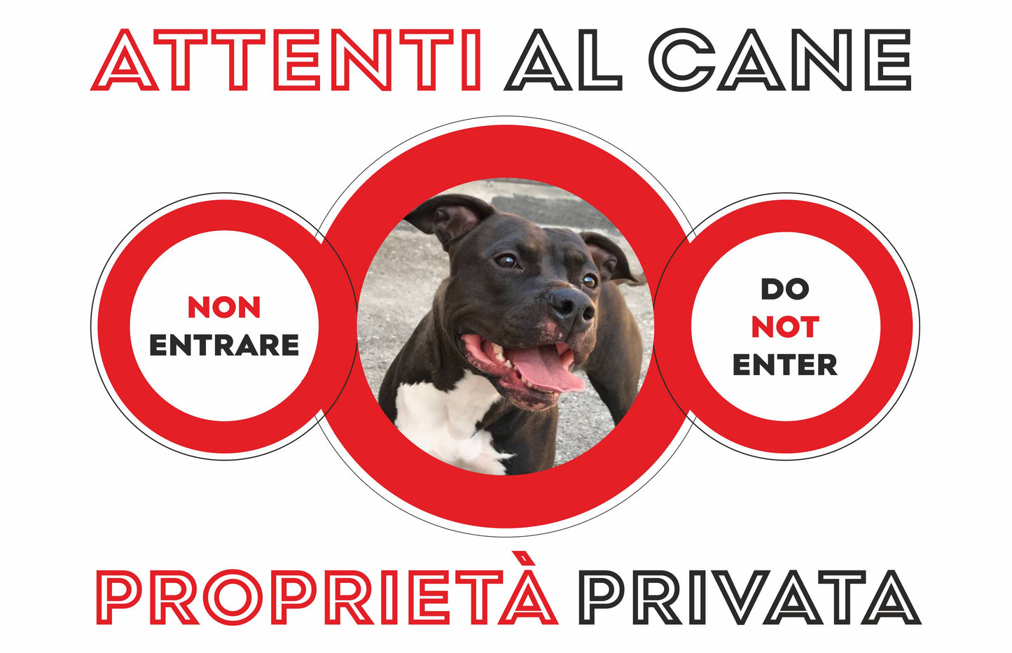 GLOBAL CARTELLO SEGNALETICO  - ATTENTI AL CANE CON FOTO PERSONALIZZATA MODELLO 2 - Adesivo Extra Resistente, Pannello in Forex, Pannello In Alluminio