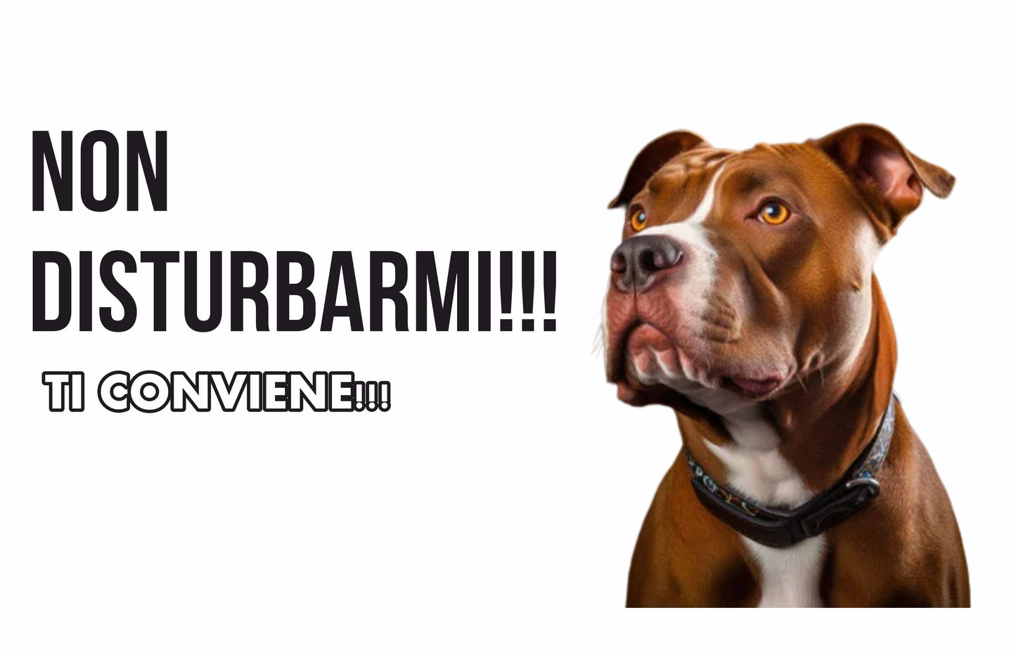 GLOBAL CARTELLO SEGNALETICO  - Attenti al cane boxer, NON DISTURBARMI - Adesivo Extra Resistente, Pannello in Forex, Pannello In Alluminio