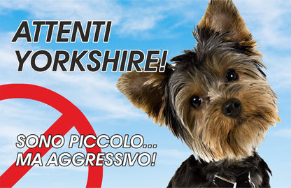 GLOBAL CARTELLO SEGNALETICO - Attenti al cane yorkshire, SONO PICCOLO, MA AGGRESSIVO - Adesivo Extra Resistente, Pannello in Forex, Pannello In Alluminio
