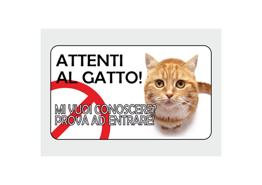 GLOBAL CARTELLO SEGNALETICO - Attenti al gatto, MI VUOI CONOSCERE - Adesivo Extra Resistente, Pannello in Forex, Pannello In Alluminio