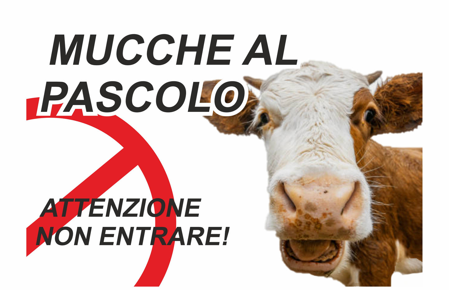 GLOBAL CARTELLO SEGNALETICO - MUCCHE AL PASCOLO - Adesivo Extra Resistente, Pannello in Forex, Pannello In Alluminio