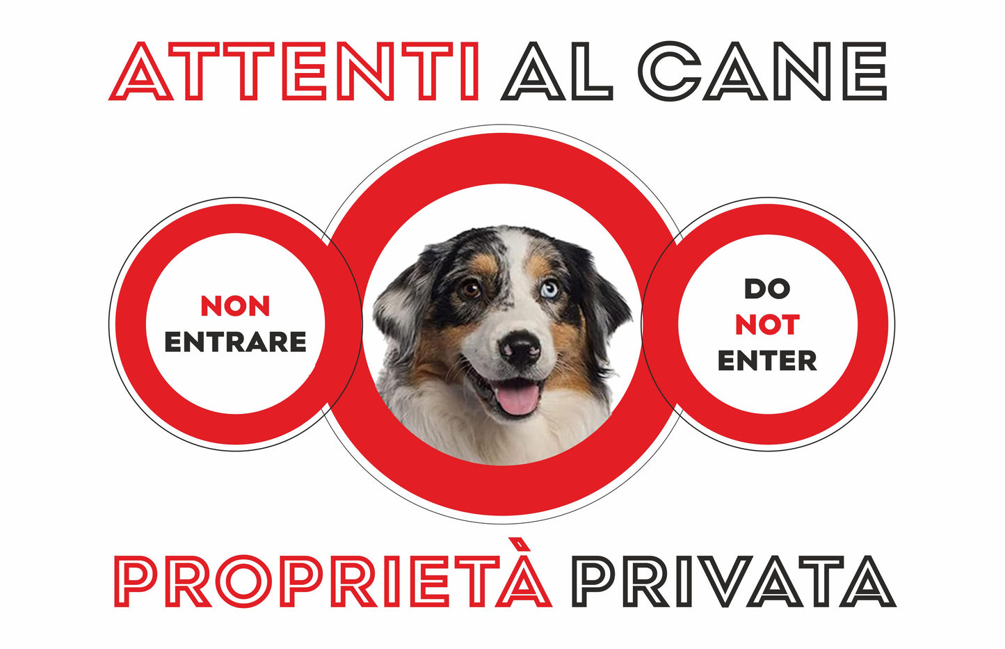 GLOBAL CARTELLO SEGNALETICO  - attenti al cane australian sheperd - Adesivo Extra Resistente, Pannello in Forex, Pannello In Alluminio