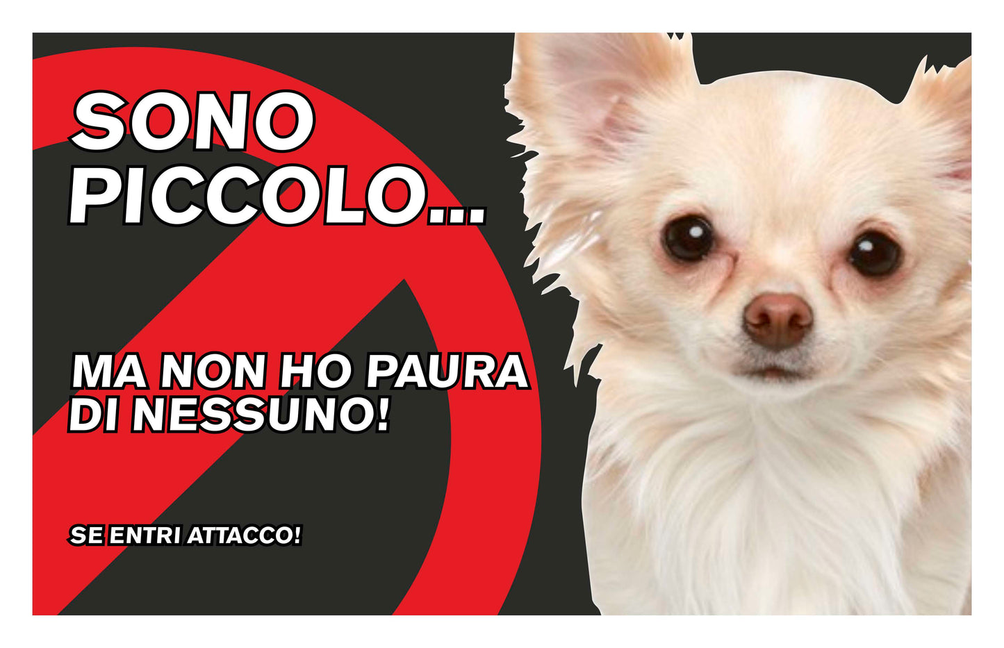 GLOBAL CARTELLO SEGNALETICO  - attenti al cane chihuahua, sono piccolo ma non ho paura  - Adesivo Extra Resistente, Pannello in Forex, Pannello In Alluminio