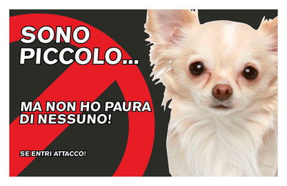 GLOBAL CARTELLO SEGNALETICO  - attenti al cane chihuahua, sono piccolo ma non ho paura  - Adesivo Extra Resistente, Pannello in Forex, Pannello In Alluminio