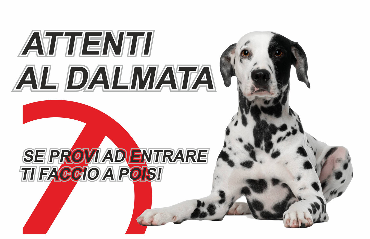 GLOBAL CARTELLO SEGNALETICO  - ATTENTI AL CANE DALMATA TI FACCIO A POIS - Adesivo Extra Resistente, Pannello in Forex, Pannello In Alluminio