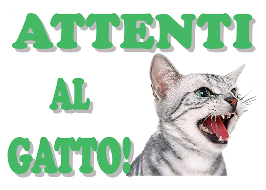 GLOBAL CARTELLO SEGNALETICO - attenti al gatto, GATTO ARRABBIATO - Adesivo Extra Resistente, Pannello in Forex, Pannello In Alluminio