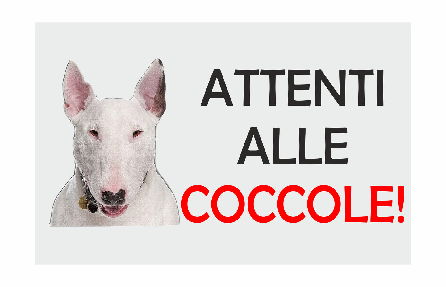 ATTENTI ALLE COCCOLE  - BULL TERRIER - CARTELLO ATTENTI AL CANE in Adesivo Resistente, Pannello in Forex, Pannello In Alluminio o in Plexiglas