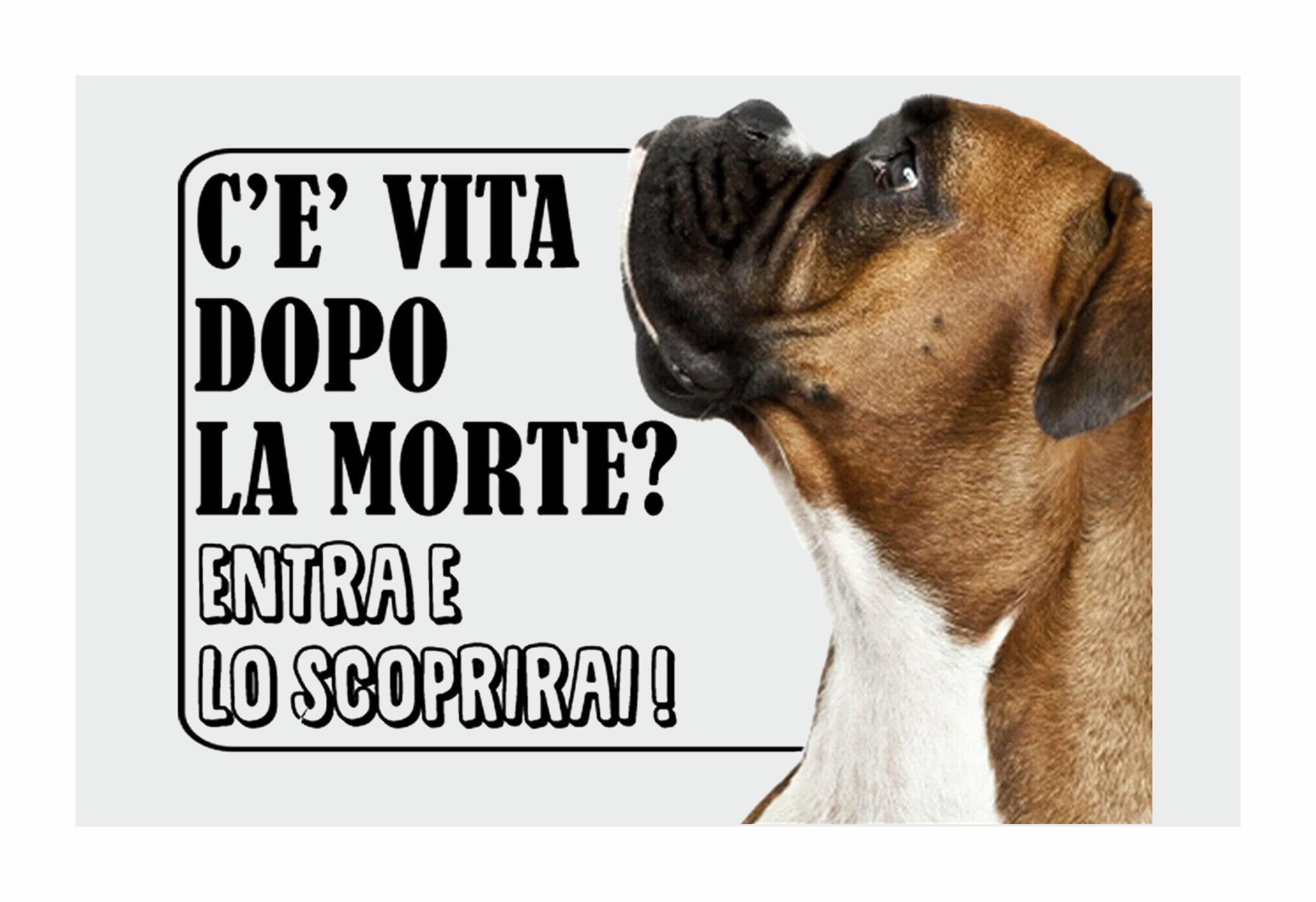 Cartello ATTENTI AL CANE - Siberian Husky | Frase Divertente 'C'è Vita Dopo La Morte, Entra E Lo Scoprirai' | Adesivo Vinile + Pannello Forex 5mm
