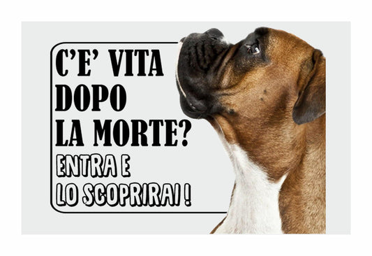 BOXER  c'è vita dopo la morte, entra e lo scoprirai - CARTELLO ATTENTI AL CANE in Adesivo Resistente, Pannello in Forex, Pannello In Alluminio o in Plexiglas