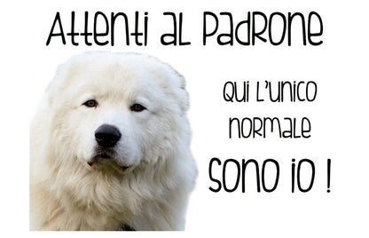 Phonecasing Cartello Segnale Attenti al Cane in Alluminio 3 mm Composito (20 cm x 15 cm, Bassotto Phonecasing Cartello Segnale Attenti al Cane in Alluminio 3 mm Composito (20 cm x 15 cm, Bassotto