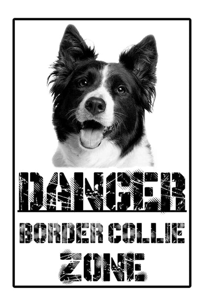 Danger  BORDER COLLIE Zone - CARTELLO ATTENTI AL CANE in Adesivo Resistente, Pannello in Forex, Pannello In Alluminio o in Plexiglas