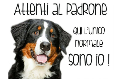 Bovaro del Bernese attenti al padrone -  CARTELLO ATTENTI AL CANE in Adesivo Resistente, Pannello in Forex, Pannello In Alluminio o in Plexiglas
